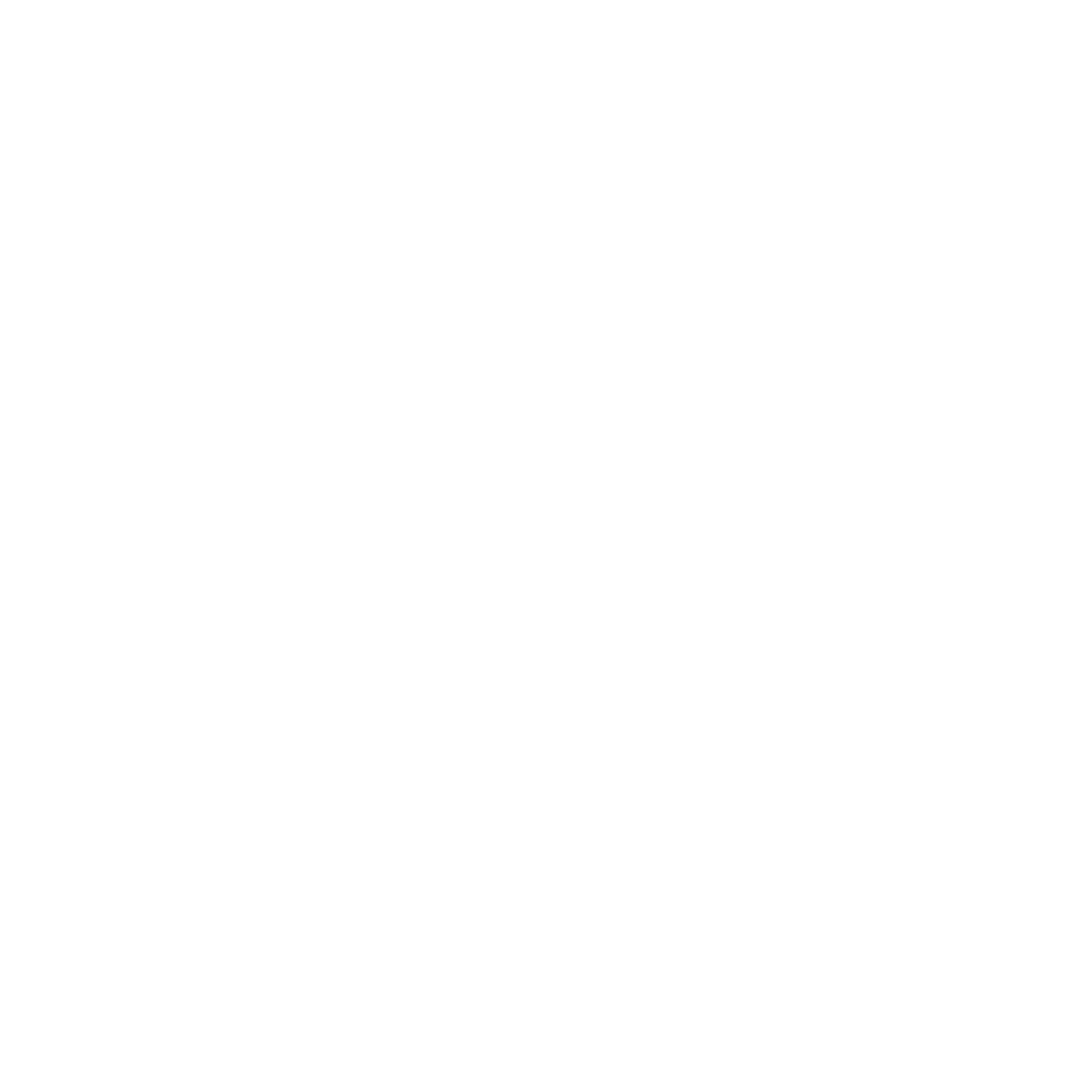 OctopAI Logo